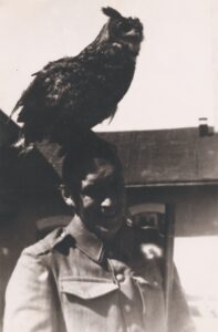 19_História