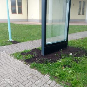 IMG-20250918-WA0017