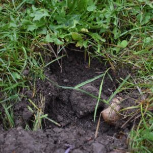 557444095_1116162243965495_8469384098803402063_n