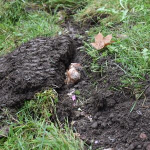 558796205_1116162293965490_3263535683286121532_n