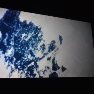 563520589_1126023749646011_5687563292430355896_n