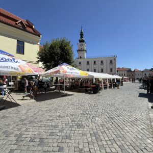 IMG_2291