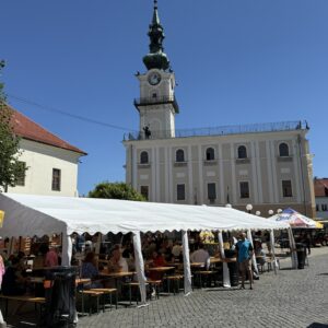 IMG_2293